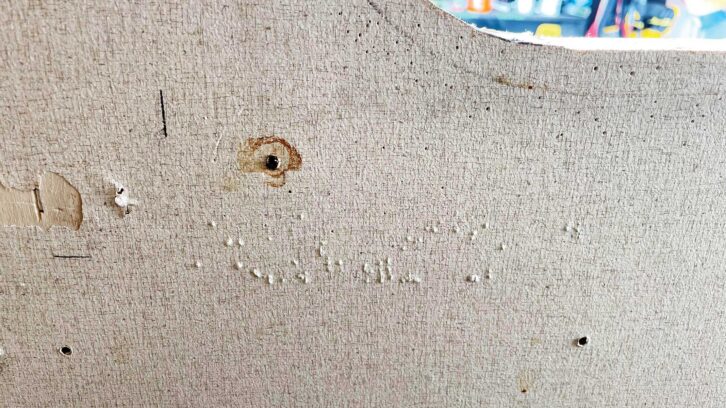 Signs of damp in a motorhome