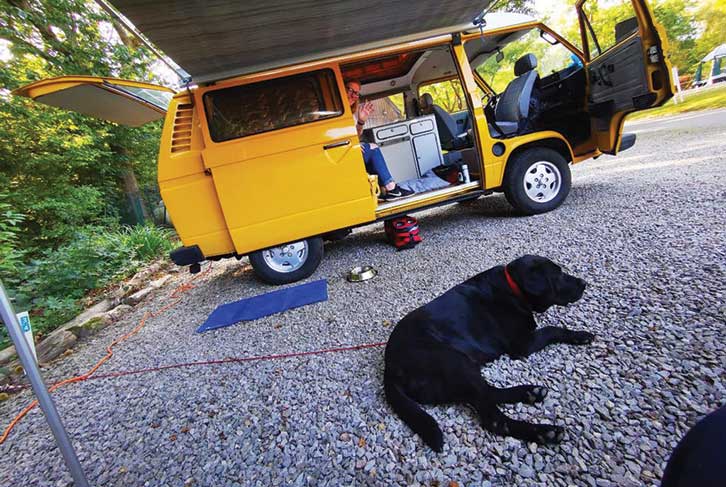 A dog lying under a wind-out awning on a campsite