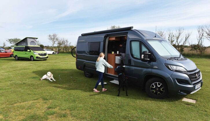 A dog in the shade of a pitched up campervan